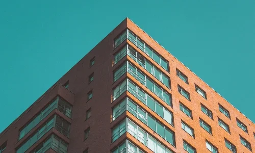 echo-grid-VwxbVvm8sRA-unsplash (1)